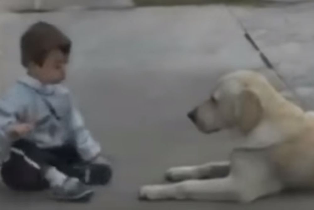 ΣΥΓΚΛΟΝΙΣΤΙΚΟ: Η αντίδραση σκύλου όταν συνάντησε παιδάκι με σύνδρομο down (video)