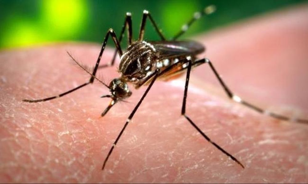  Βραζιλία: Το υπ. Υγείας ξεκαθαρίζει ότι δεν οι Ολυμπιακοί Αγώνες δεν θα αναβληθούν λόγω Ζίκα