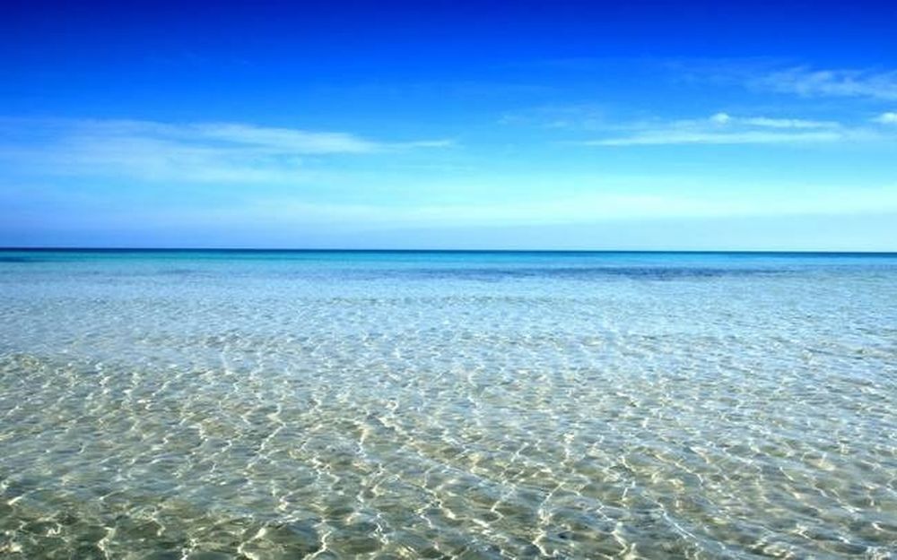 Το βίντεο που πρέπει να δουν όλοι – Κανείς δεν μπορούσε να φανταστεί αυτό που συνέβη στη θάλασσα