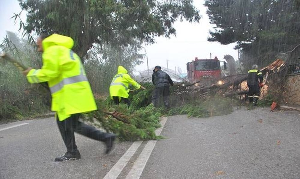 Η κακοκαιρία χτύπησε ξανά τη δυτική Ελλάδα - Χωρίς ρεύμα η Ζάκυνθος, μεγάλες ζημιές στην Ηλεία