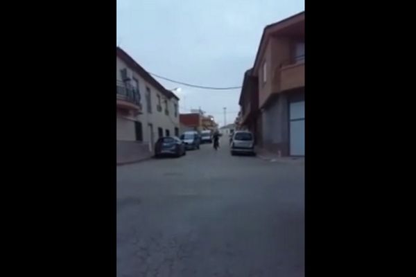Το ποδήλατο με το πιο... άγριο γκάζι (vid)
