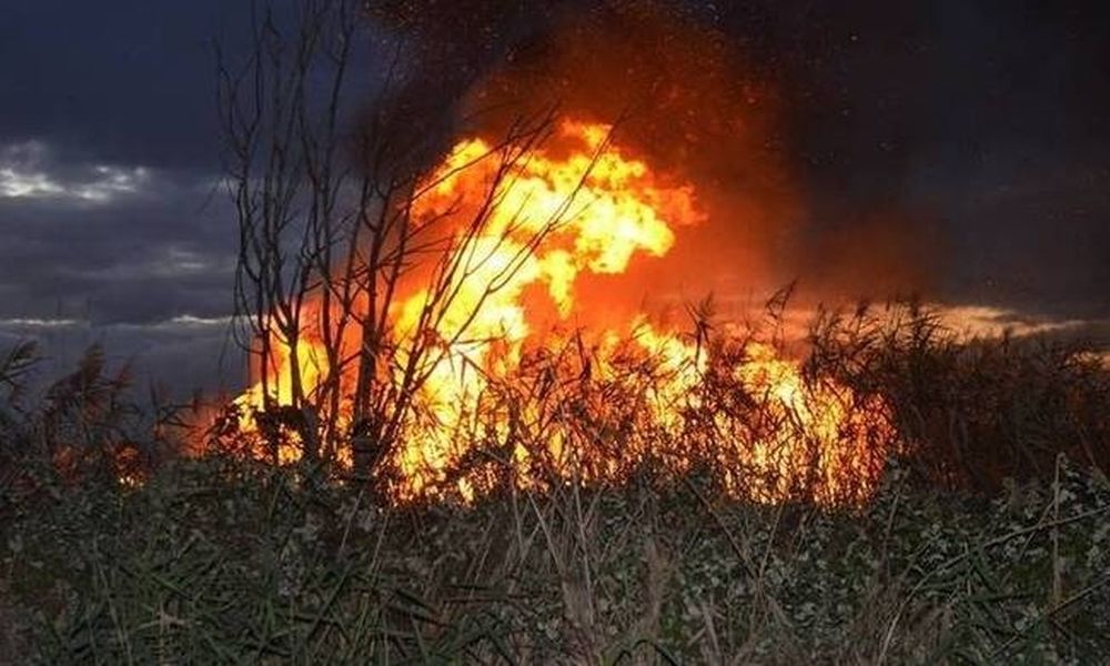  Παραδόθηκε και ομολόγησε ο δράστης της πυρκαγιάς της Άνδρου