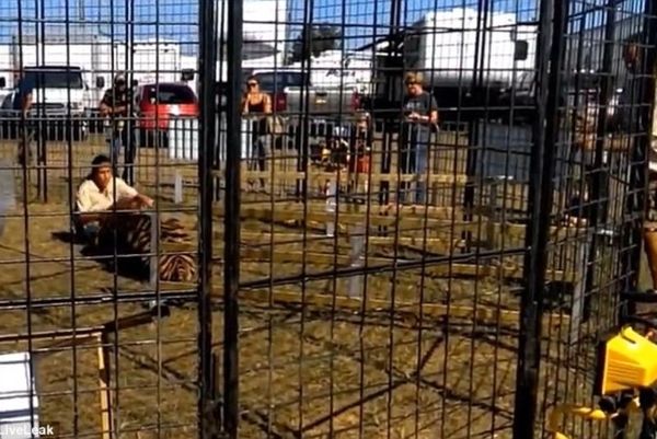 Εφιαλτικό: Τίγρης άρπαξε το πόδι εκπαιδευτή του (vid)