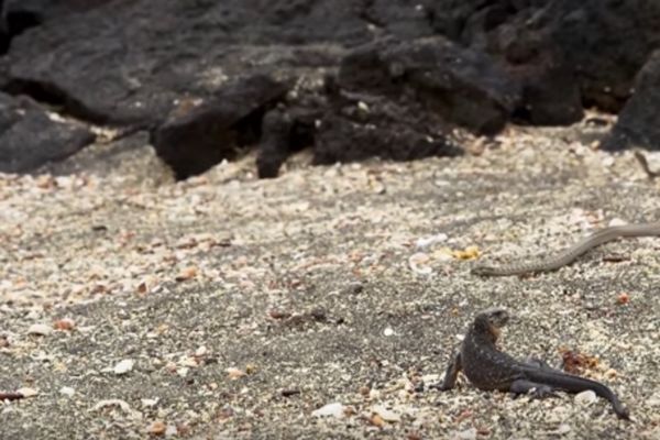 Το βίντεο που θα σου κόψει την ανάσα (και θα το δεις ξανά και ξανά)
