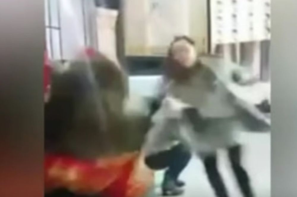 Αρκούδα επιτέθηκε σε δημοσιογράφο (vid)