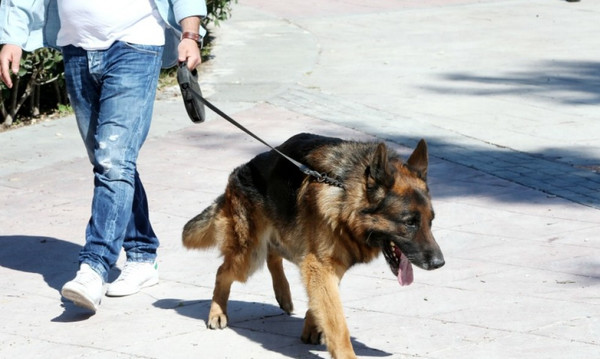 Η αντιτρομοκρατική στην κλήρωση της ΕΠΟ!