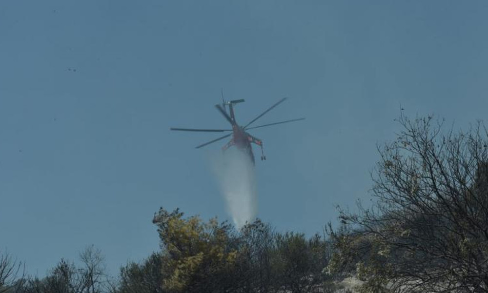 Φωτιά πίσω από το προπονητικό κέντρο του Παναθηναϊκού