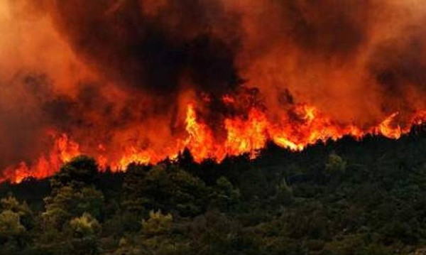 Ομολογία 14χρονου: Έχω βάλει 18 φωτιές τον Αύγουστο 