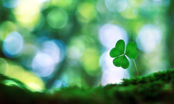 Παναθηναϊκή Συμμαχία: «Είστε στον Παναθηναϊκό, όχι σε πολιτικό κόμμα»