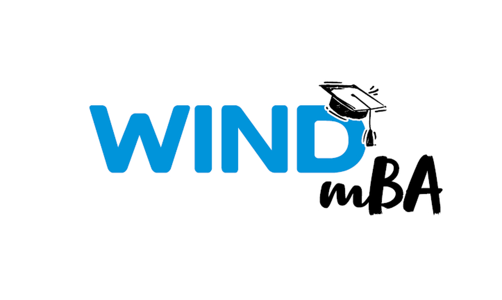 «Mini mba» για τους ανθρώπους της δημιουργεί η WIND