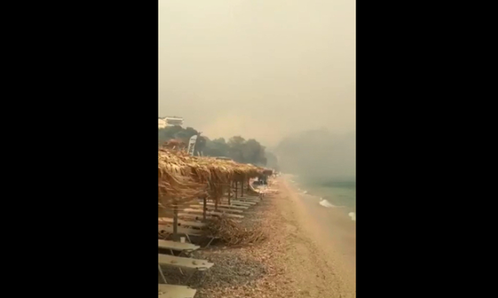 Φωτιά Κινέτα: Έφτασαν στη θάλασσα οι φλόγες – Συγκλονιστικές εικόνες (video)