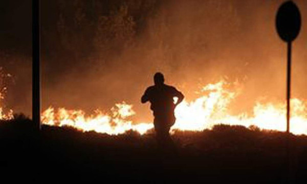 Φωτιά: Επ’ αυτοφώρω σύλληψη εμπρηστή στην Ηλεία! (videos)