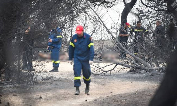 Φωτιά - Δήμαρχος Ραφήνας: «Πιστεύω ότι οι νεκροί από τις πυρκαγιές θα ξεπεράσουν τους 100»