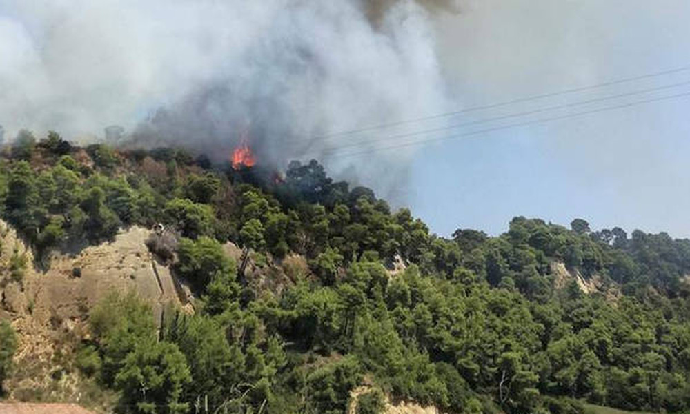 Φωτιά: Μεγάλη πυρκαγιά στην Αμαλιάδα - Εκκενώνεται χωριό