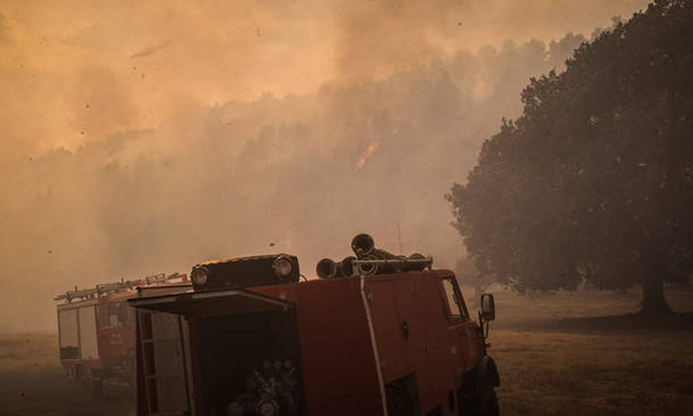 Φωτιά Ηλεία: Ολονύχτια μάχη με τις φλόγες - Φοβούνται για αναζωπυρώσεις στη Δαφνιώτισσα
