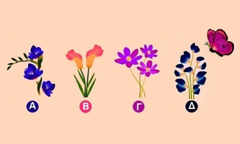 Σε ποιο λουλούδι θα καθίσει η πεταλούδα;