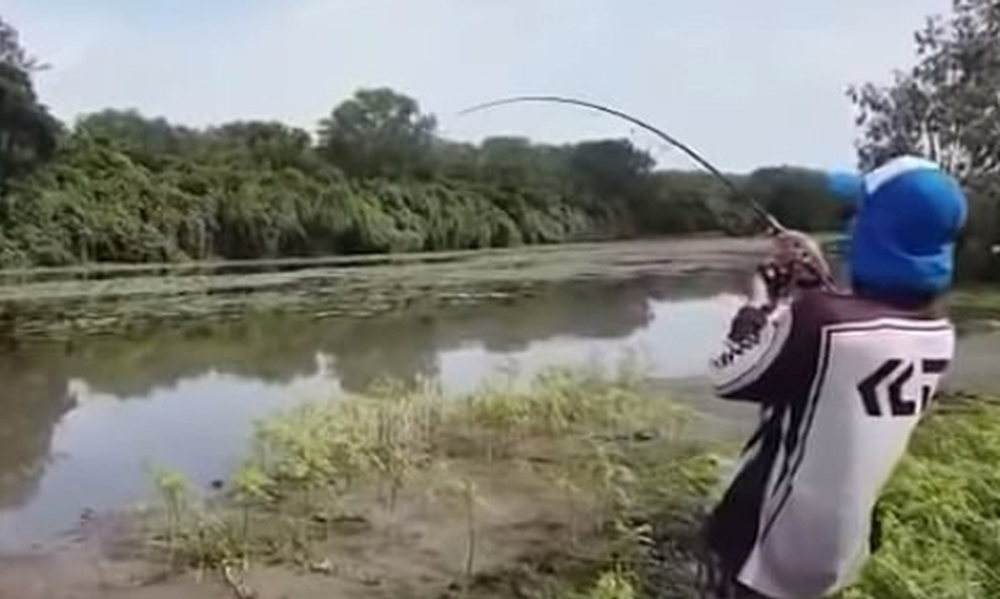 H σοκαριστική στιγμή που κροκόδειλος κυνηγά ψαρά για να του αρπάξει την ψαριά (video)