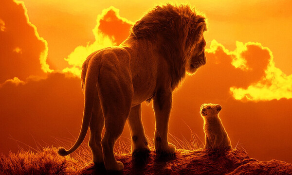 Ο σύγχρονος «Βασιλιάς των Λιονταριών» δημιουργεί μεγάλες προσδοκίες