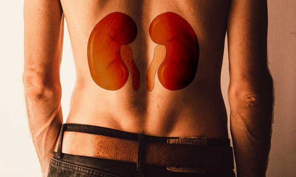 Οι τροφές που απειλούν την υγεία των νεφρών σας (εικόνες)