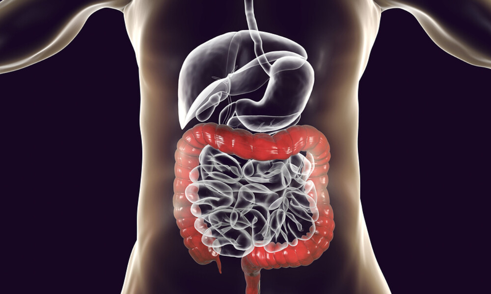 Σύνδρομο ευερέθιστου εντέρου: 8 τρόποι να ανακουφίσετε τα συμπτώματα (εικόνες)