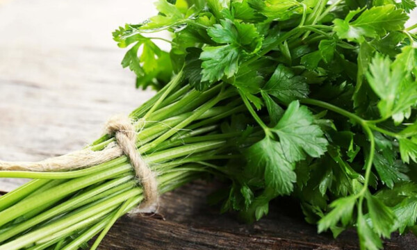 Μαϊντανός: Από ποιες παθήσεις προστατεύει το αγαπημένο μυρωδικό (εικόνες)