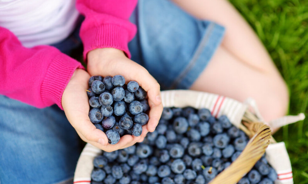 Βατόμουρα: 9 λόγοι για να τα εντάξετε στη διατροφή σας (εικόνες)