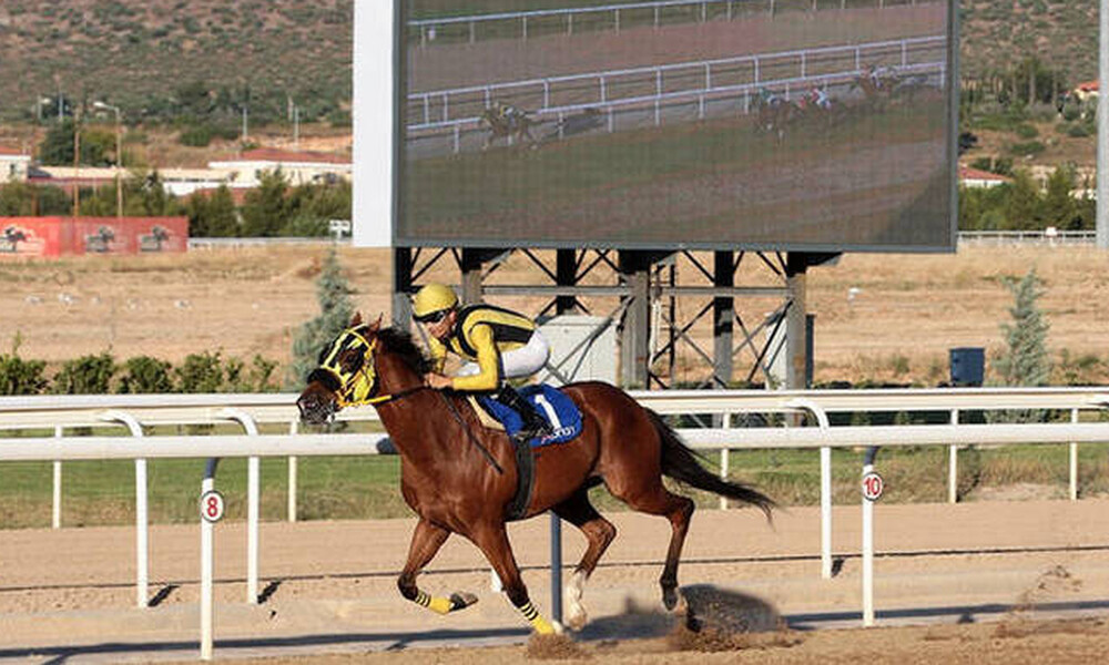 5+1 λόγοι για να πας στο Markopoulo Park (video)