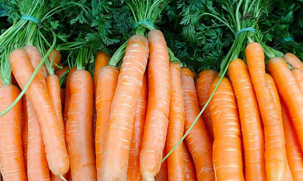 5 τροφές με αντικαρκινικές ιδιότητες που πρέπει να τρώτε κάθε μέρα (εικόνες)