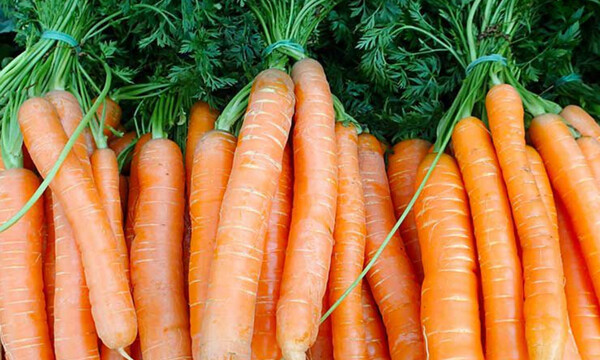 5 τροφές με αντικαρκινικές ιδιότητες που πρέπει να τρώτε κάθε μέρα (εικόνες)