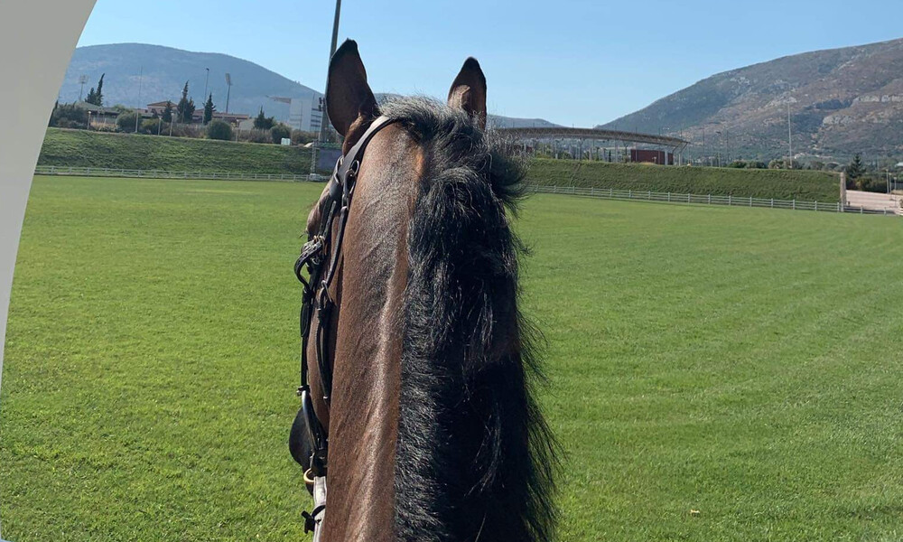 Ιππασία: Ξεκινά το Athens Equestrian Festival 2019 & Longines FEI Jumping Nations Cup