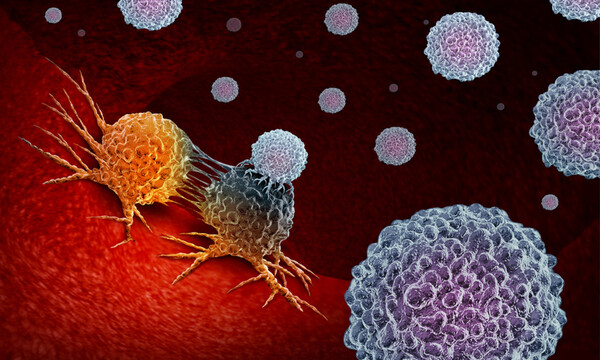 5 τροφές που εξοντώνουν τα καρκινικά κύτταρα (εικόνες)