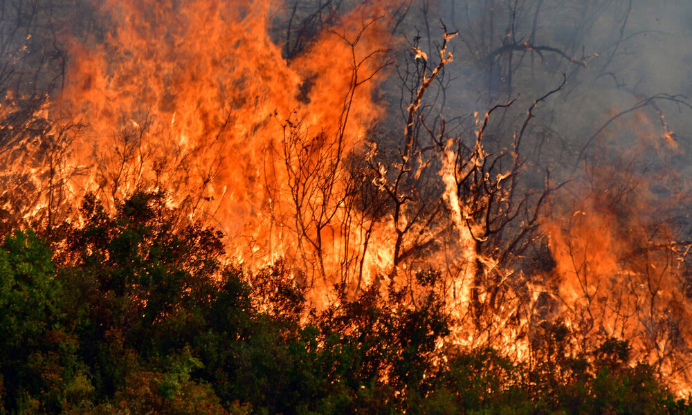 Φωτιά ΤΩΡΑ: Δείτε που έχει πυρκαγιές σε όλη την Ελλάδα 