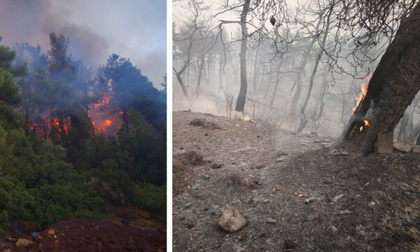 Πύρινος εφιάλτης στην Εύβοια: Εκτός ελέγχου η φωτιά – Εκκενώθηκαν 4 χωριά
