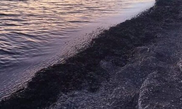 Εικόνες σοκ σε παραλία της Βούλας: Η θάλασσα γέμισε με λύματα (pics)