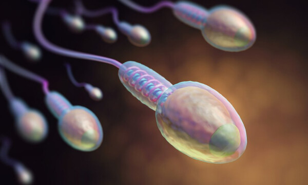 Αίμα στο σπέρμα: 8 πιθανές αιτίες (εικόνες)