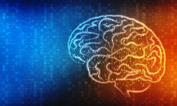 5 συνήθειες που ενισχύουν τη λειτουργία του εγκεφάλου (εικόνες)