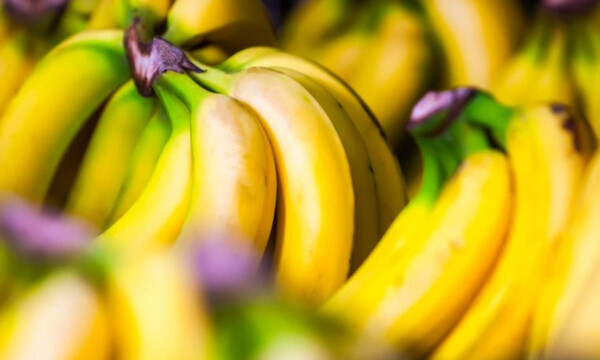 Εγκεφαλικό: Οι τροφές που μειώνουν τον κίνδυνο (pics)