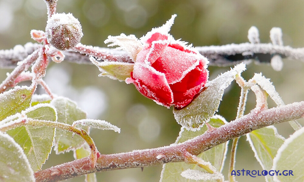 Ημερήσιες Προβλέψεις για όλα τα Ζώδια 02/12
