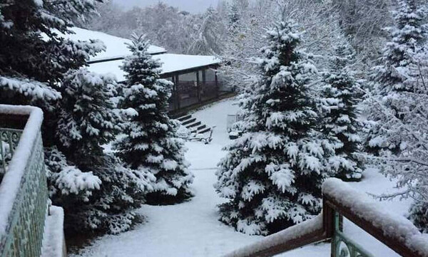 Καιρός: Στα «λευκά» η βόρεια Ελλάδα - Δείτε LIVE πού χιονίζει (pics+vids)