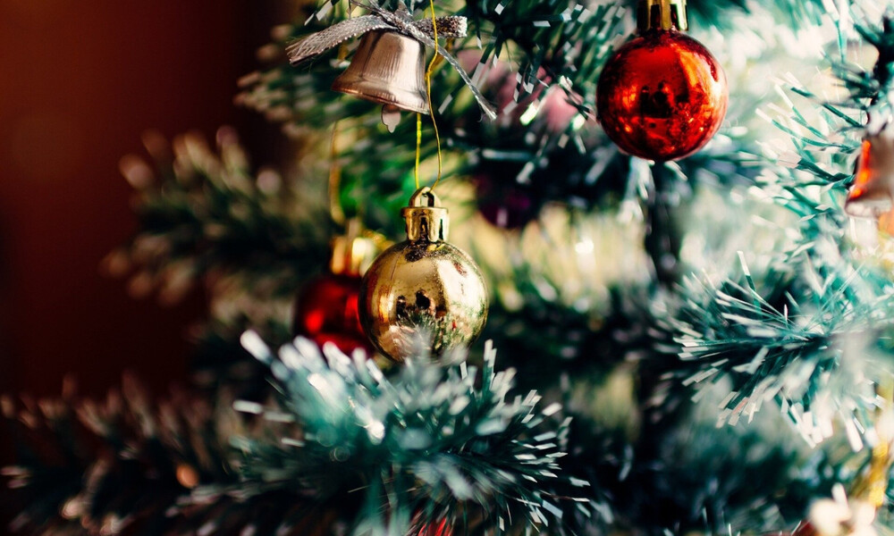 Γύρισε σπίτι της και «πάγωσε» με αυτό που είδε στο χριστουγεννιάτικο δέντρο (photos)