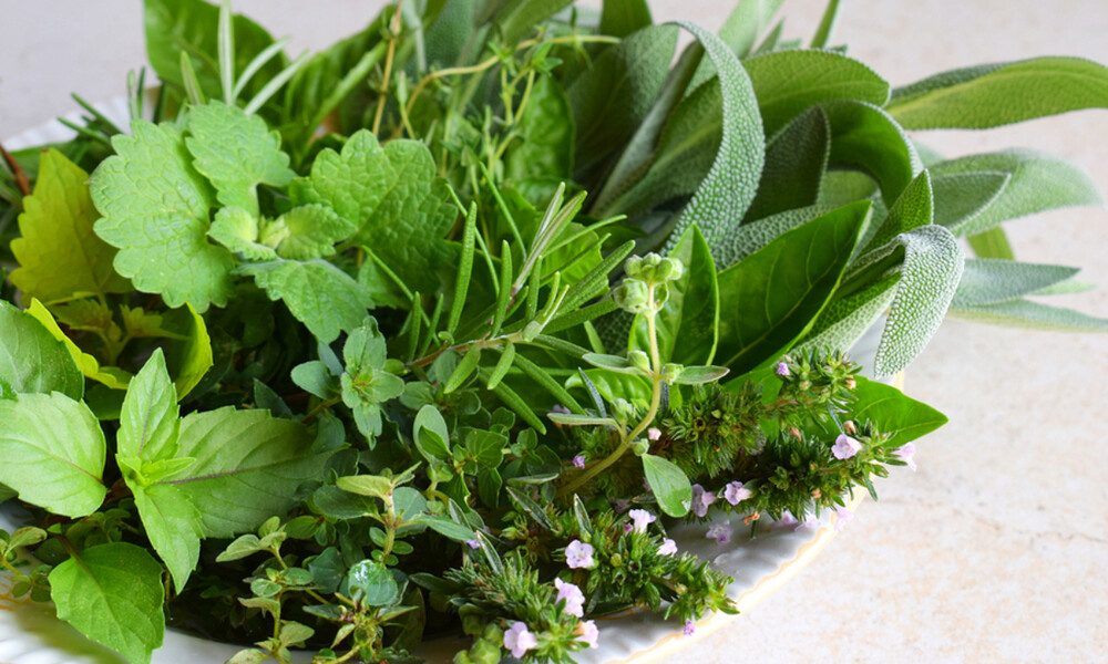 7 βότανα για να «καθαρίσετε» τα νεφρά σας (video)