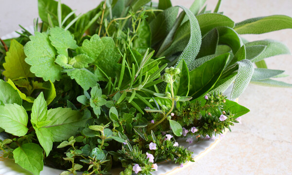 7 βότανα για να «καθαρίσετε» τα νεφρά σας (video)