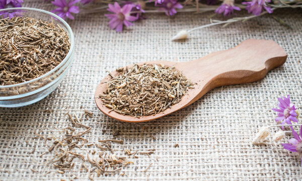 Βαλεριάνα: Οι μοναδικές ιδιότητες της θαυματουργής ρίζας (video)