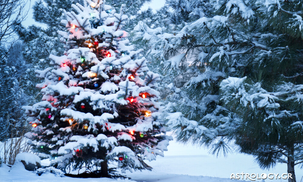 Ημερήσιες Προβλέψεις για όλα τα Ζώδια 28/12