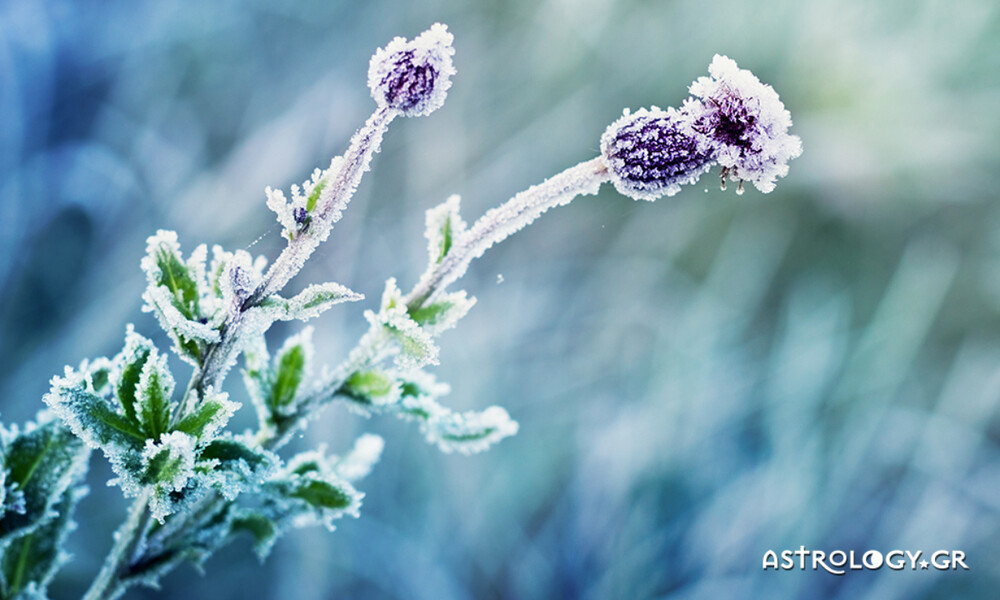 Ημερήσιες Προβλέψεις για όλα τα Ζώδια 08/01