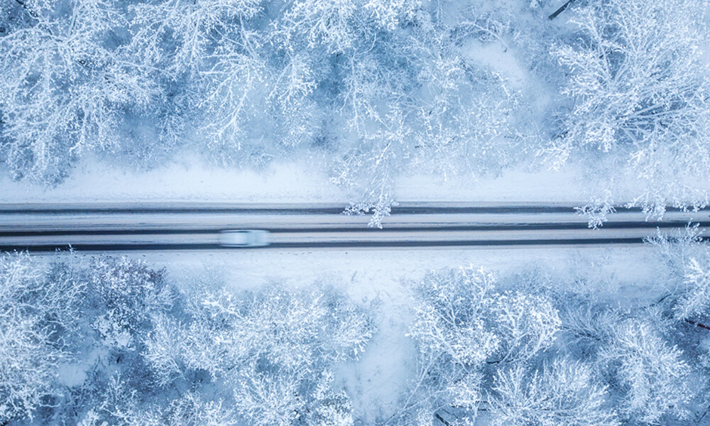 Ημερήσιες Προβλέψεις για όλα τα Ζώδια 16/01