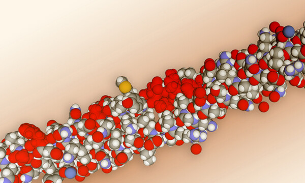Κερατίνη: Γιατί είναι απαραίτητη & σε ποιες τροφές θα τη βρείτε (εικόνες)