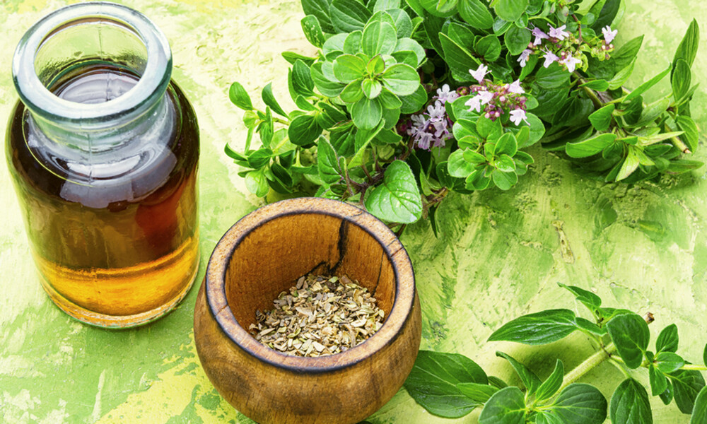 Έλαιο ρίγανης: Τα εκπληκτικά οφέλη του για την υγεία (εικόνες)