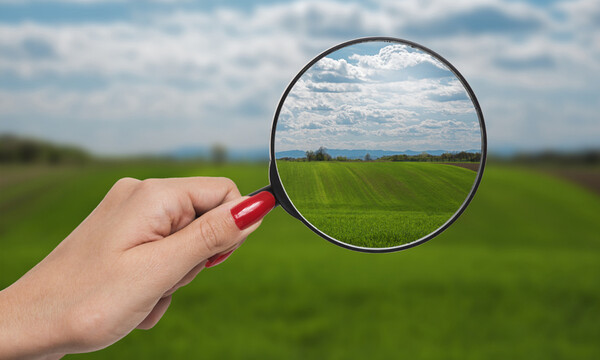 Εκφύλιση ωχράς κηλίδας: Το γρήγορο τεστ που μπορείτε να κάνετε στο σπίτι (εικόνα & βίντεο)