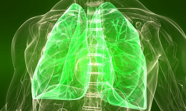 Πνεύμονες: Οι τροφές που συμβάλλουν στην ομαλή λειτουργία τους (εικόνες)